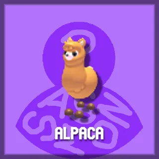 Alpaca