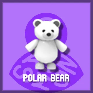 Polar Bear