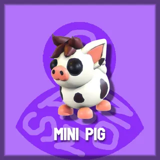 Mini Pig