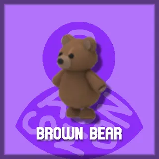 Brown Bear