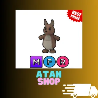 MFR Kangaroo