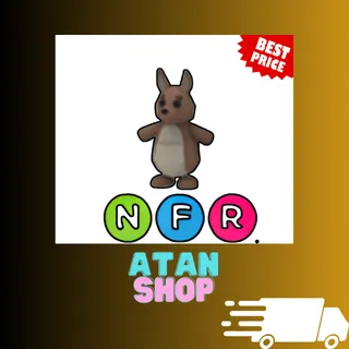 NFR Kangaroo