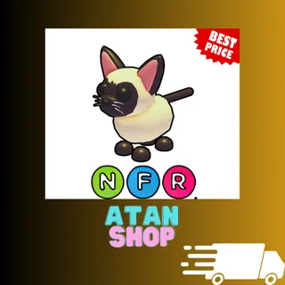 NFR Siamese Cat
