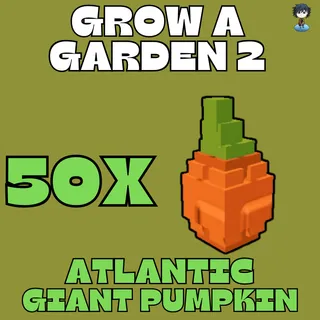 50x Atlantic Giant Pumpkin