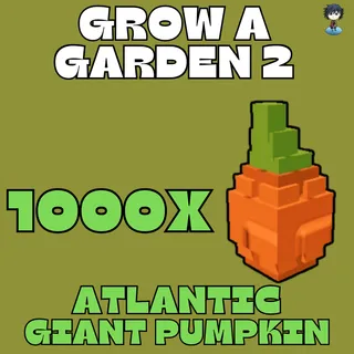 1000x Atlantic Giant Pumpkin