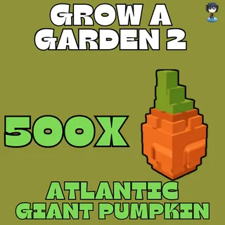 500x Atlantic Giant Pumpkin