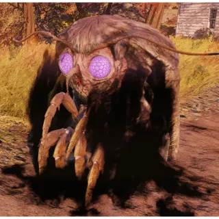 Mothman all new 11 plans