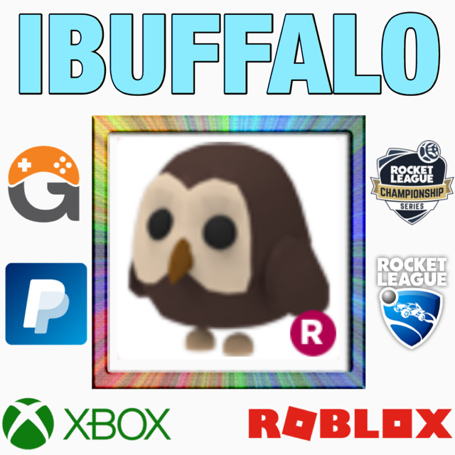 Pet Owl Ride In Game Items Gameflip - roblox adopt me owl picture