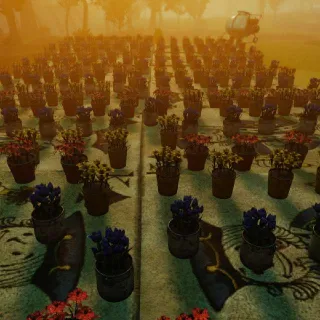 Flower Camp