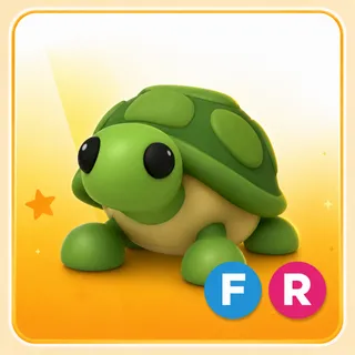 FR TURTLE