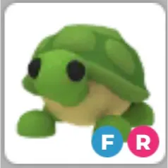 FR TURTLE ADM