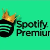 Spotify Premium Account 3 Months 🎶CHEAP🎶