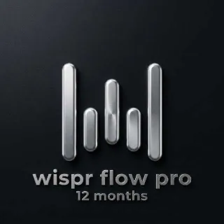 Wispr Flow Pro 12 Months - Code