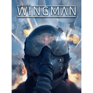 Project Wingman