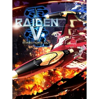 Raiden V: Director's Cut