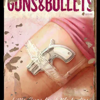 Guns and Bullets3 ×300