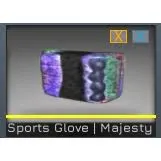 Counter Blox  1X Sports Glove Majesty