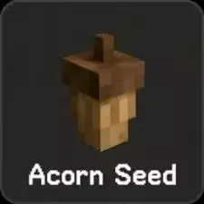 Acorn Seed - 100x - Grow a garden 2
