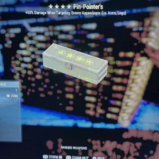 Pin Pointer Mod