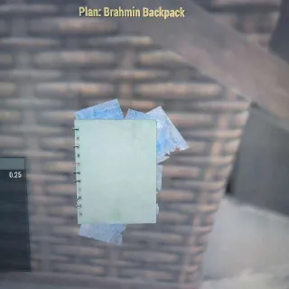 Brahmin Backpack Plan