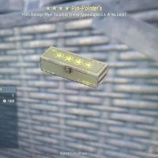 Pin Pointer Mod