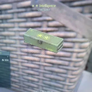 5x +2 Intelligence Mod