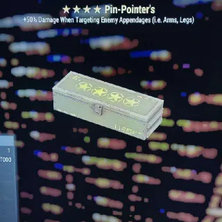 Pin Pointer Mod