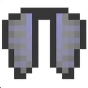 DonutSMP - Elytra