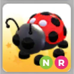 NR Ladybug