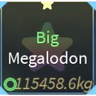 big megalodon