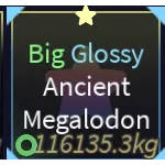 big glossy ancient megalodon