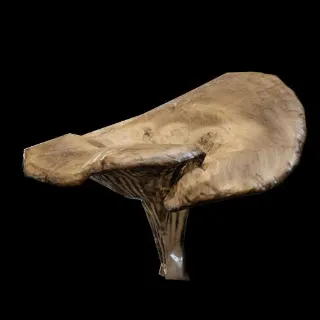 X12 MUSHROOMS