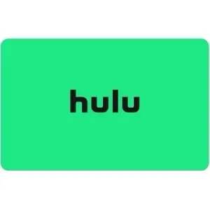 $100.00 Hulu