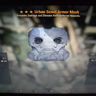 Usa Mask [Rare Apparel]