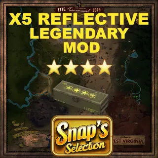 x5 Reflective Mods