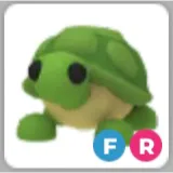 FR Turtle