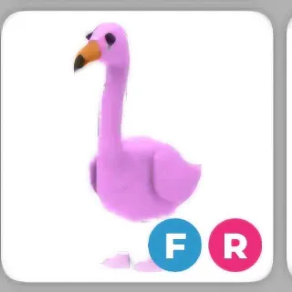 FR FLAMINGO