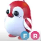 peppermint penguin FR