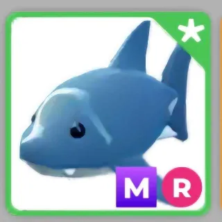 R MEGA SHARK