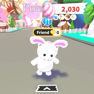 3 Piece Spring Bunny Set