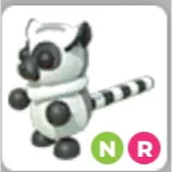 R neon ring-tailed lemur