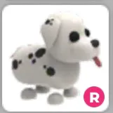Ride Dalmatian