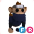 FR NINJA MONKEY ADOPT ME!
