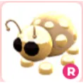 GOLDEN LADYBUG LEGENDARY ADOPT ME!