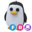 FR PENGUIN ADOPT ME!