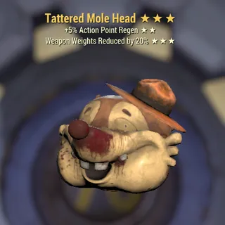 Tattered mole head AP WWR