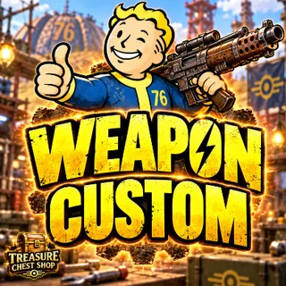 Weapon custom