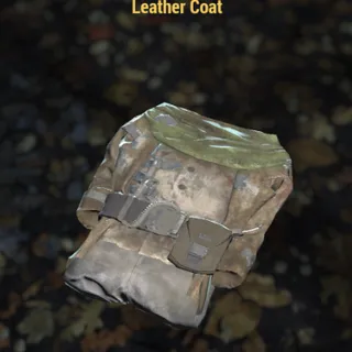 Leather Coat
