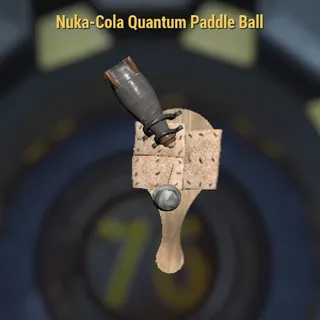 Nuka quantum paddle ball