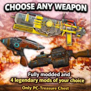 Weapon custom